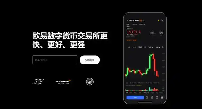 下载欧一页面展示